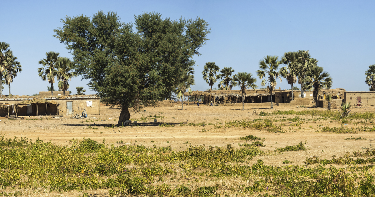 Flights to Abeche