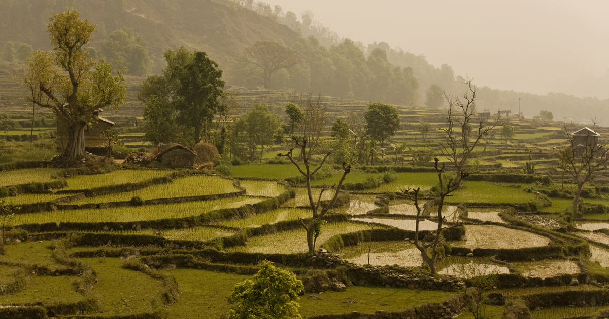 Flights to Biratnagar