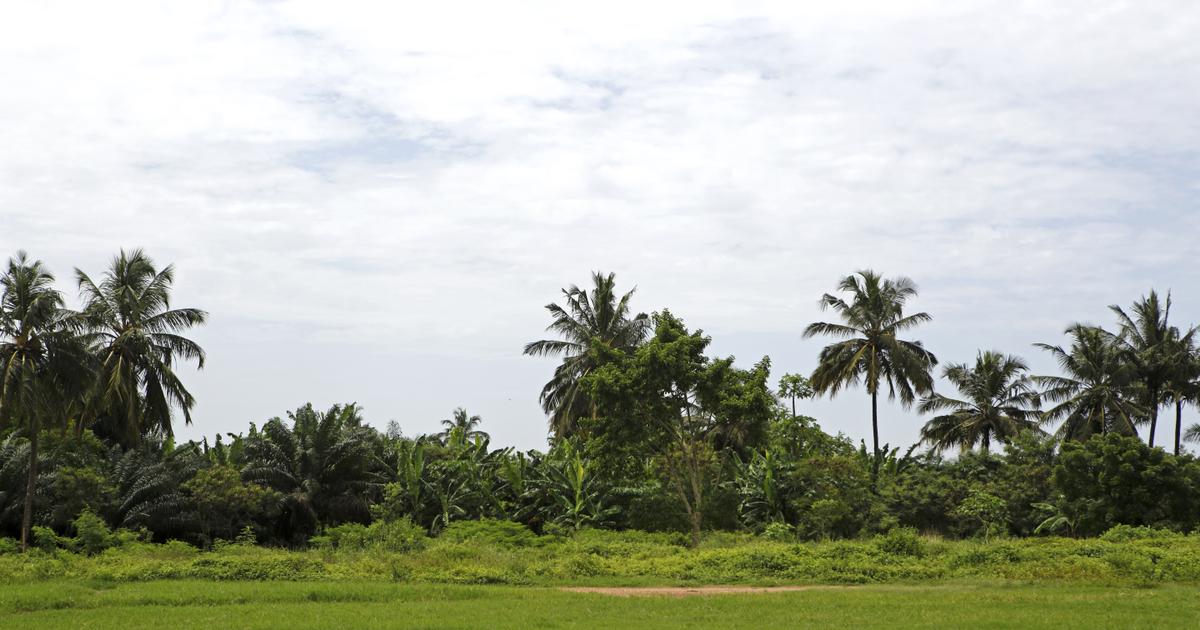 Flights to Conakry