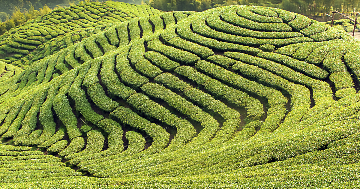 Flights to Chiayi