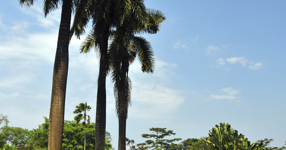 Flights Stuttgart - Entebbe