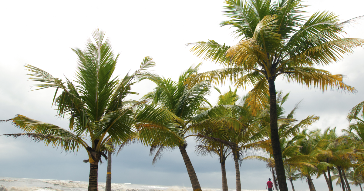 Flights to Guanaja