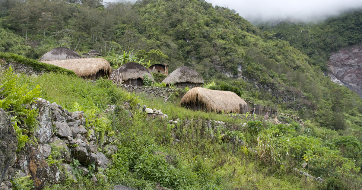 Flights to Goroka
