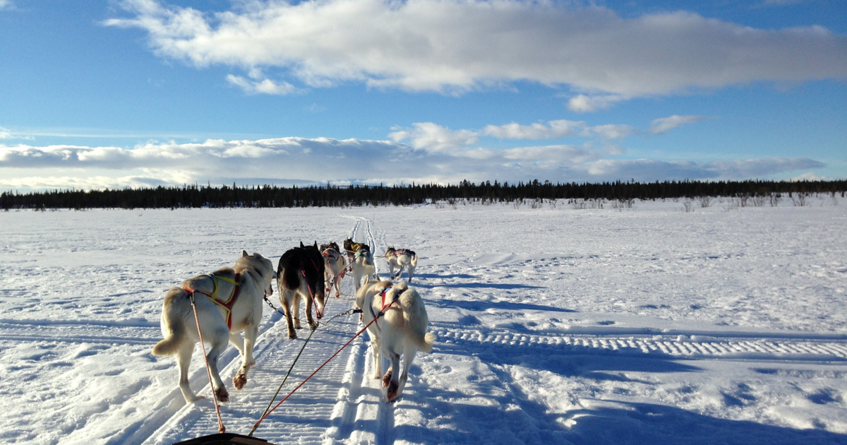 Flights to Ivalo