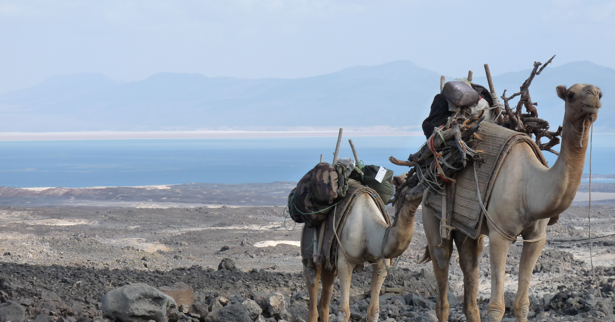 Flights Jimma - Djibouti