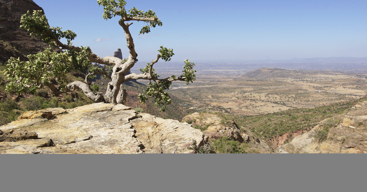 Flights to Jimma