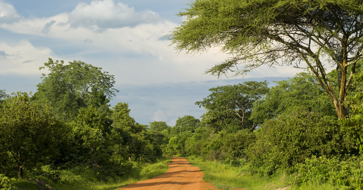 Flights to Kindu