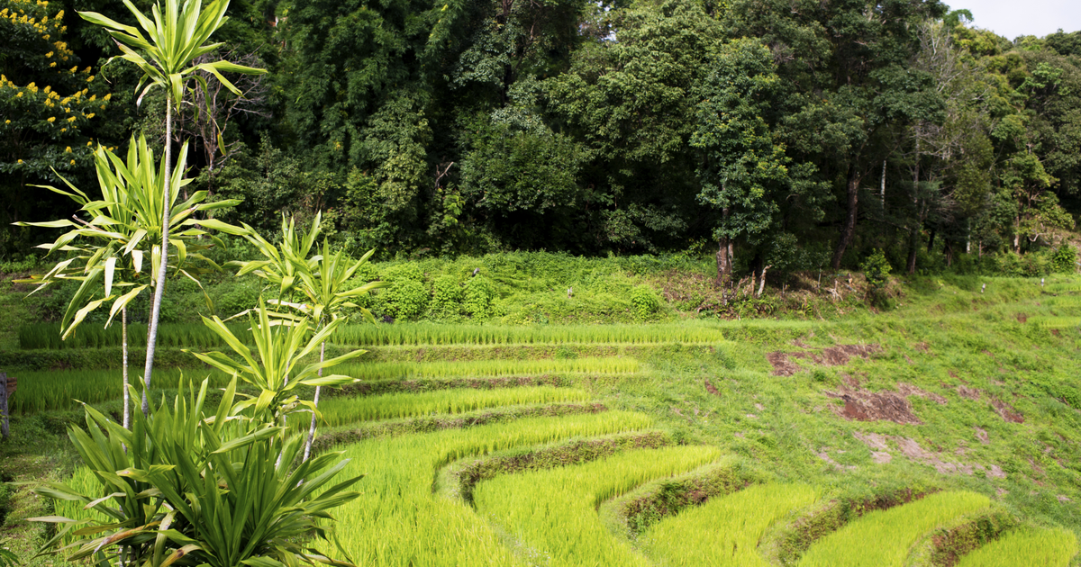 Flights to Lashio