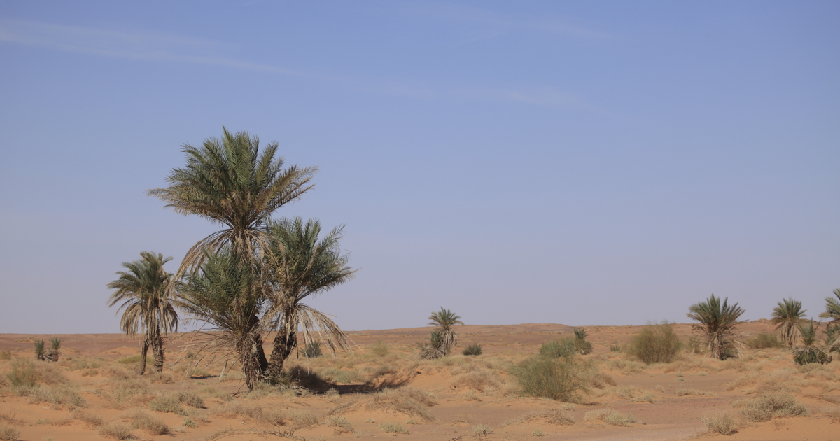 Flights to Misurata