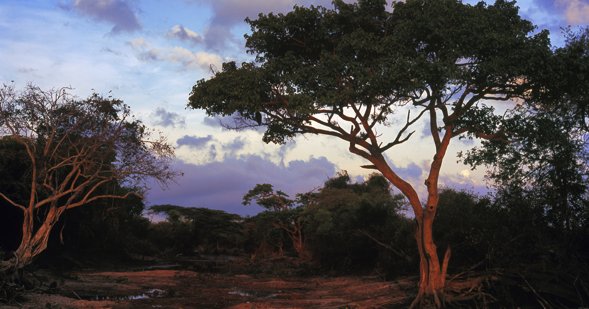 Flights to Mtwara