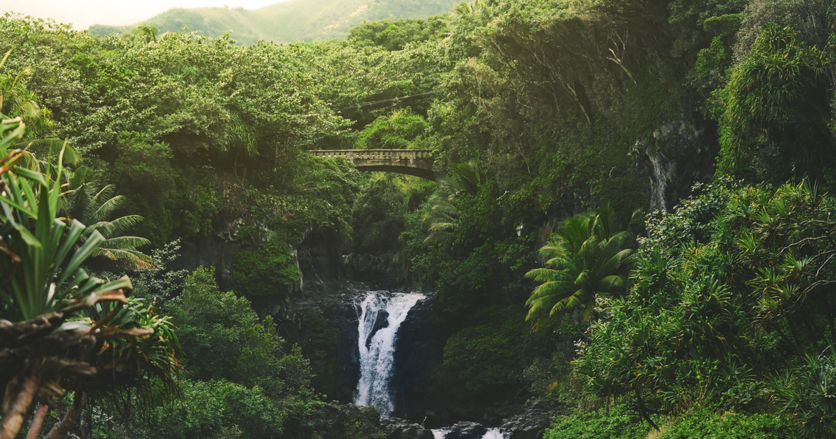 Flights Staunton - Kahului