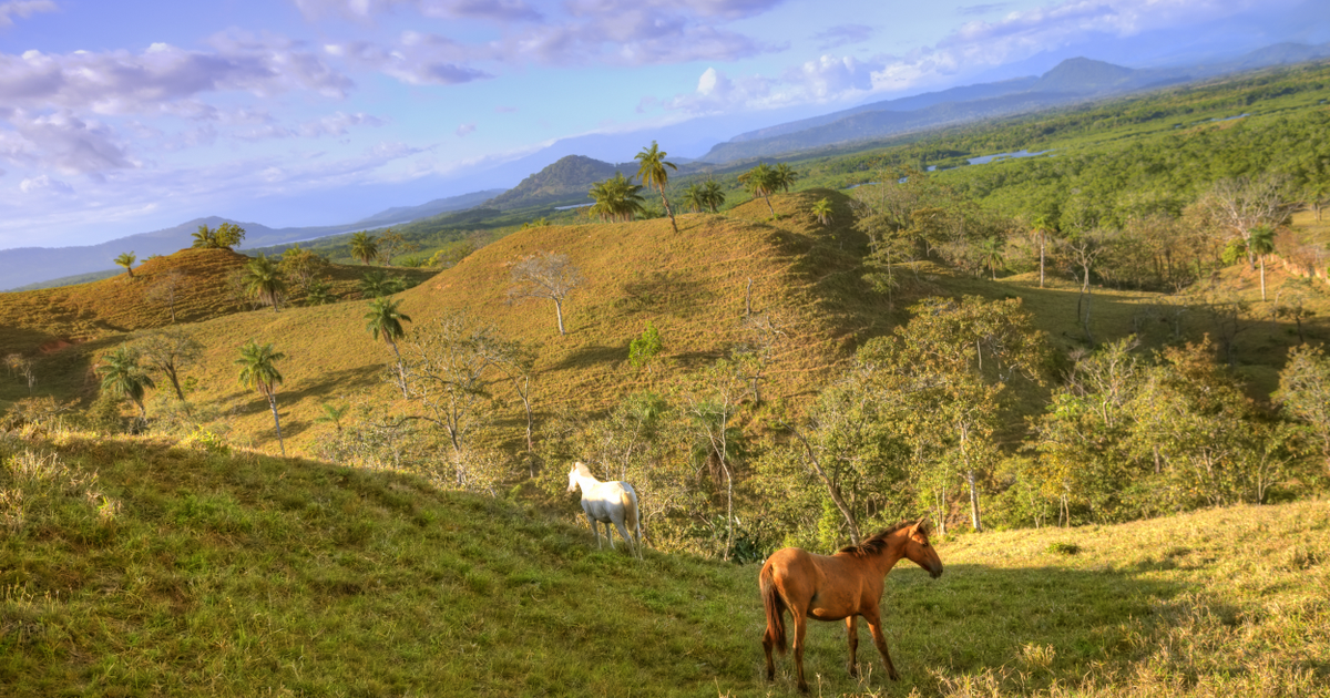 Flights to Contadora