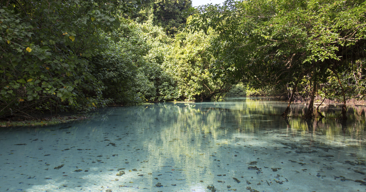 Flights to Espiritu Santo