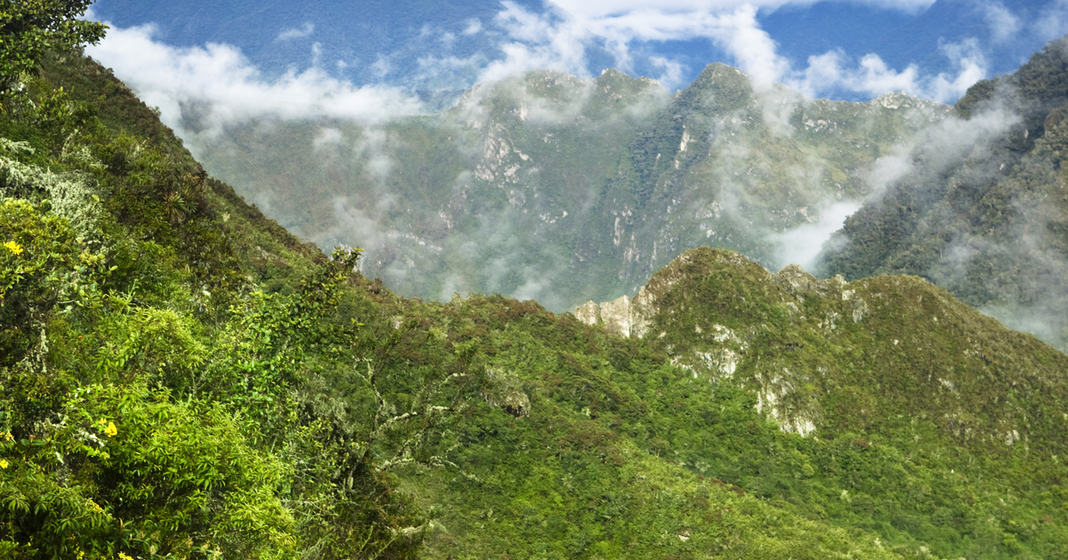 Flights to Tarapoto