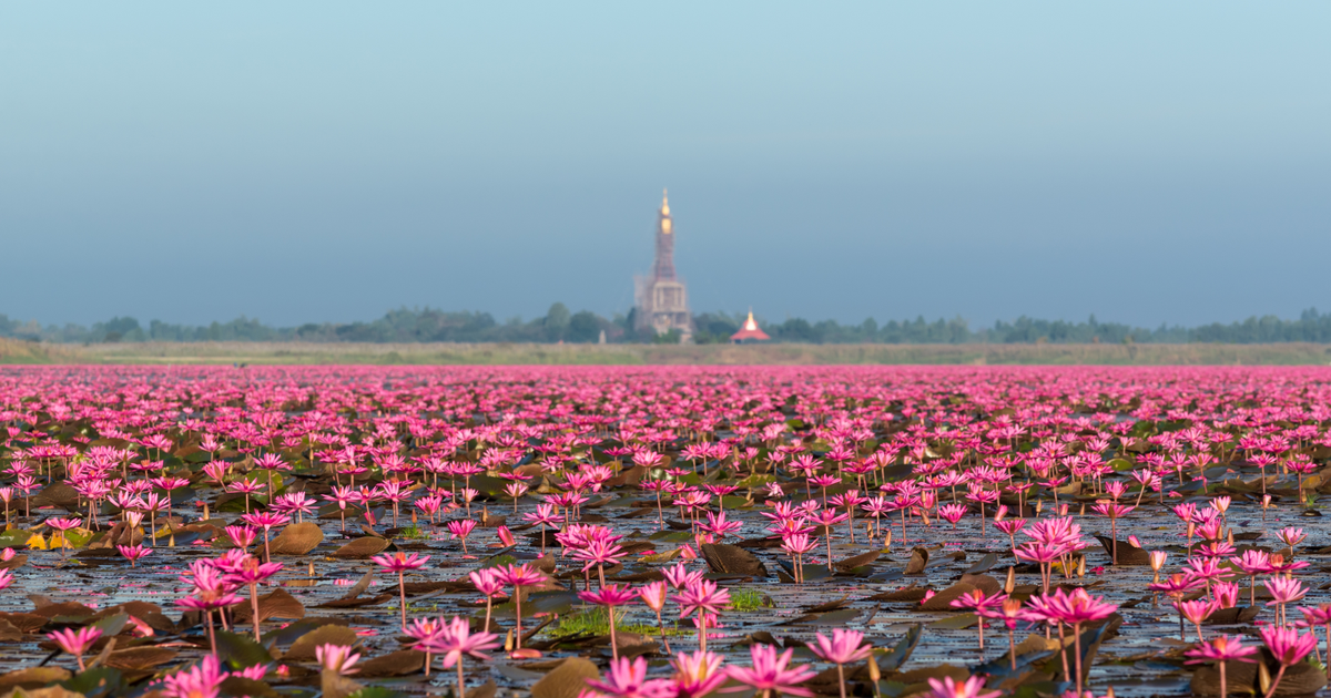 Flights to Udon Thani