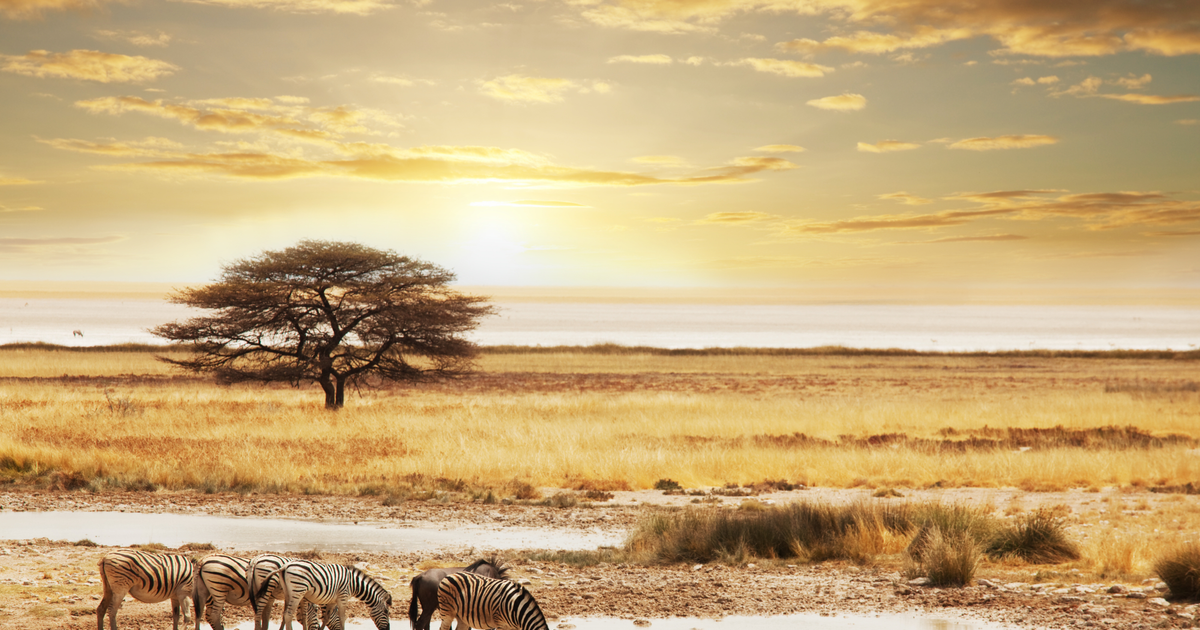 Flights to Burundi