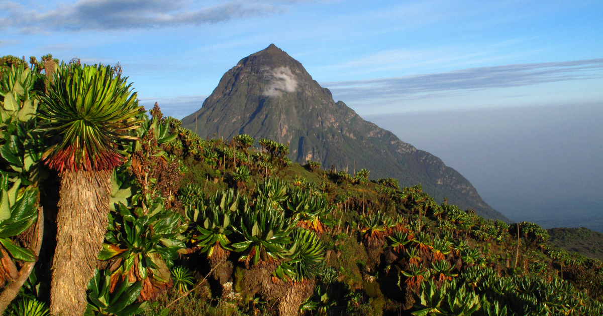 Flights Exeter - Democratic Republic of the Congo