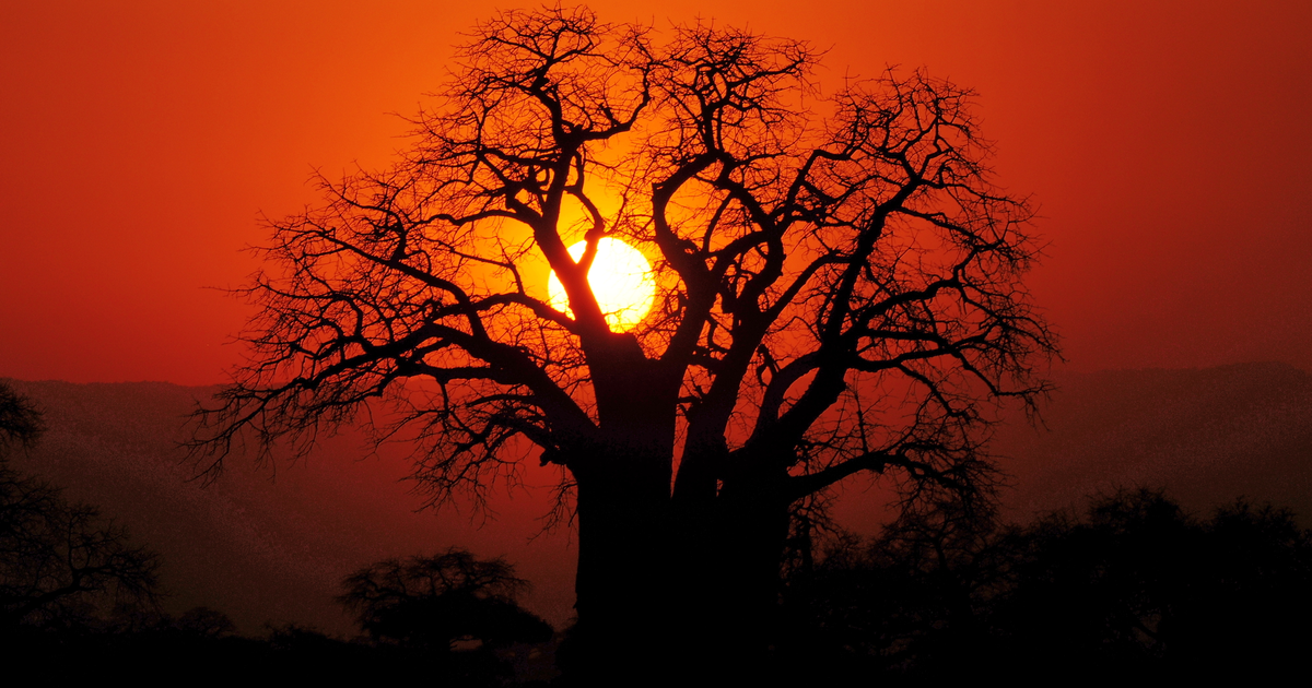 Flights to Ivory Coast