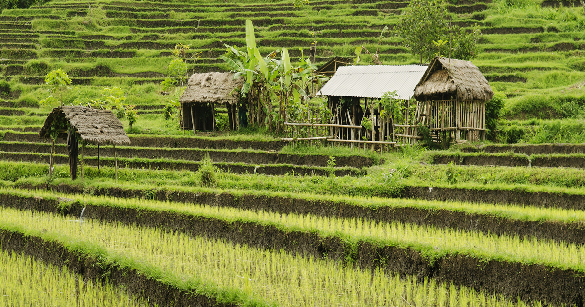 Flights to Indonesia