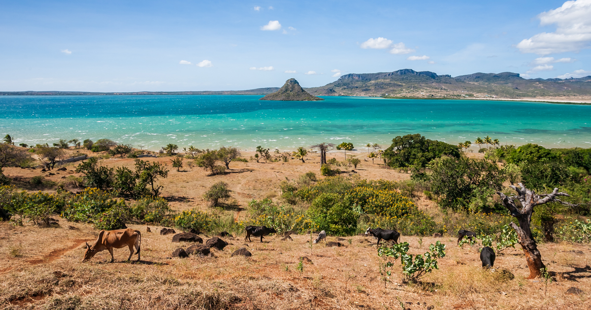 Flights to Madagascar