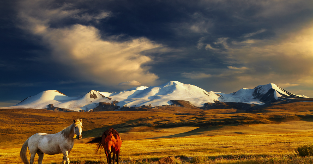 Flights to Mongolia