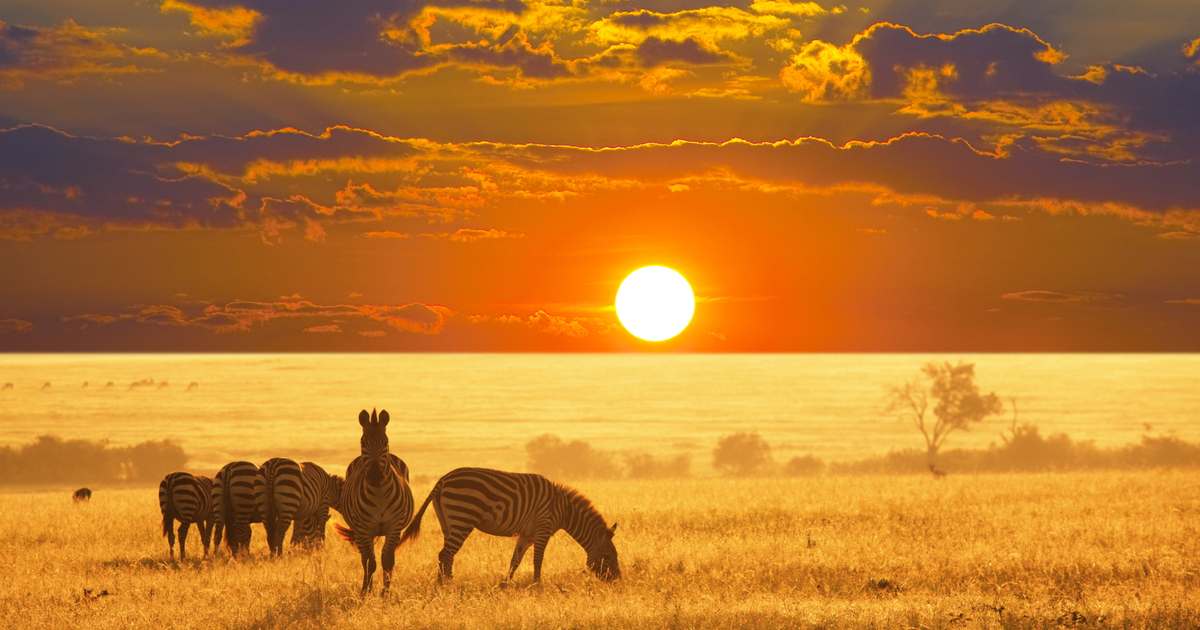 Flights to Namibia