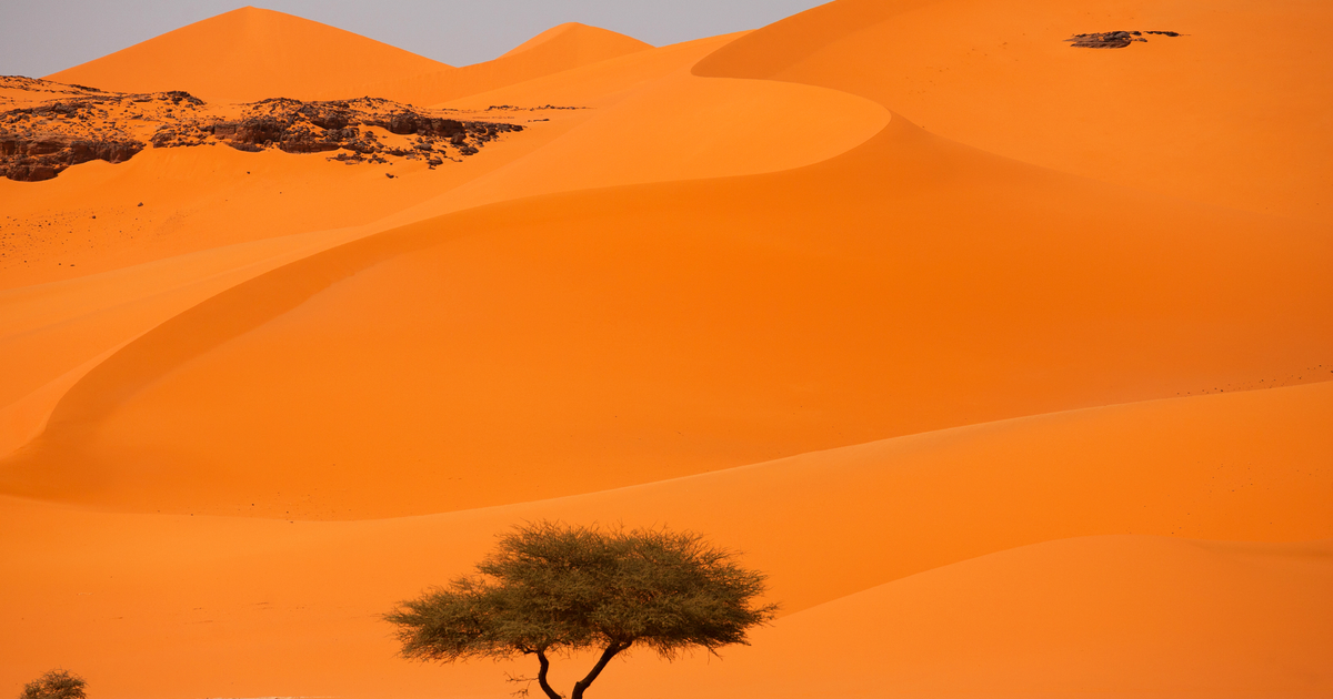 Flights to Niger