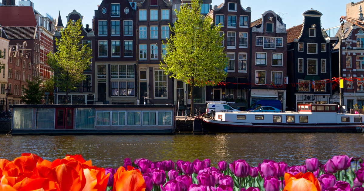 Flights to Netherlands