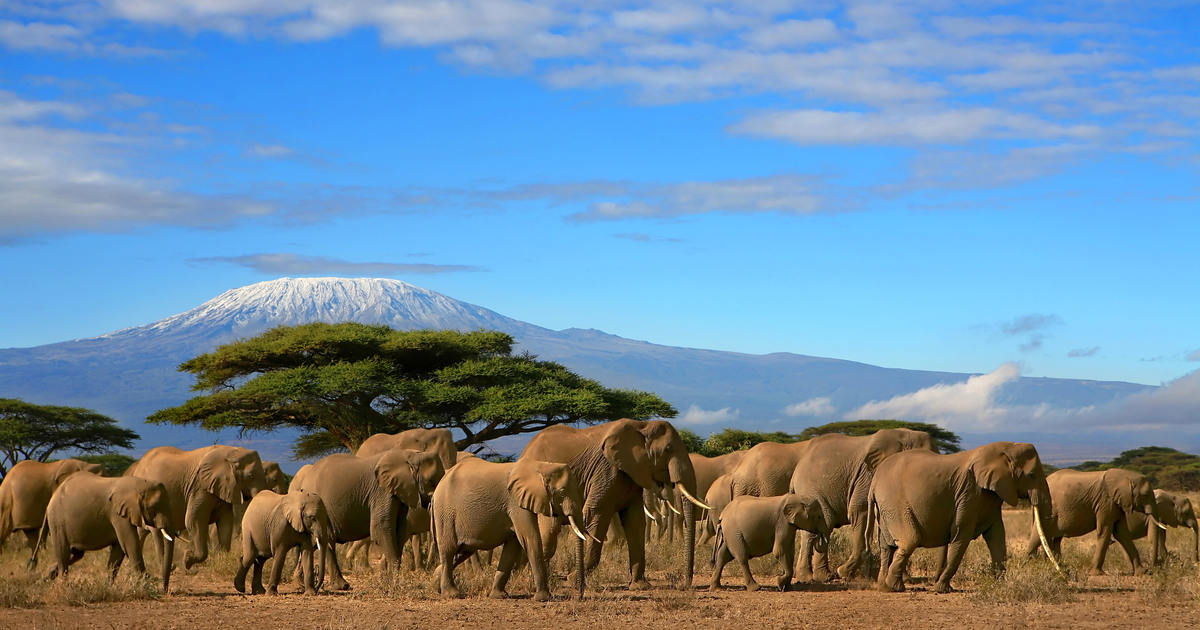 Flights to Tanzania